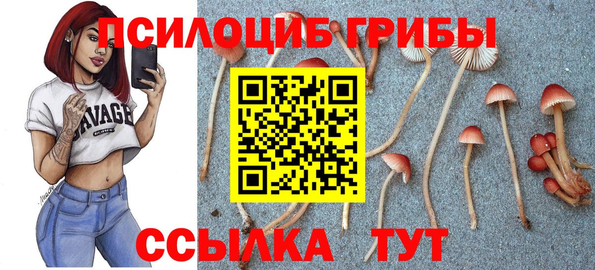 Меф мяу мяу Дубна